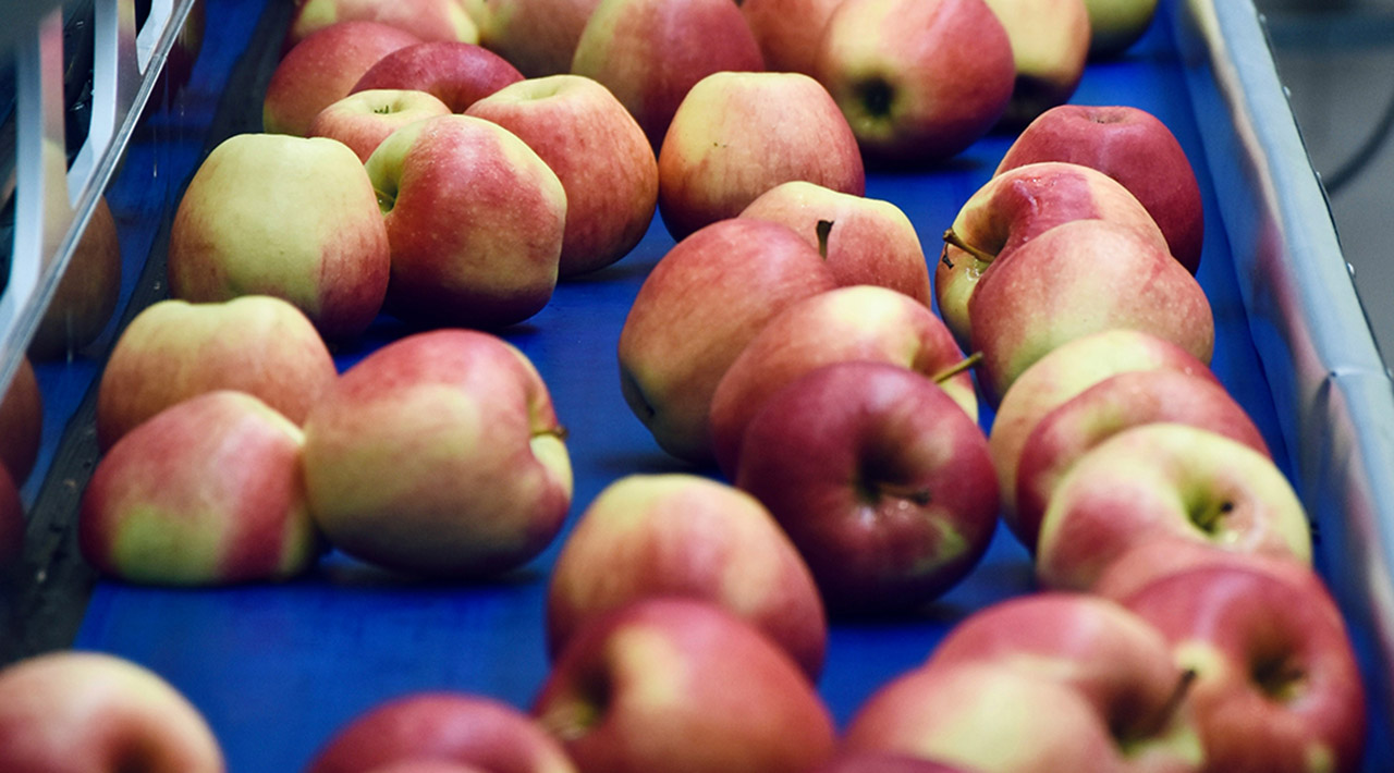 Das - Consultoria Agroalimentaria y Medioambiental - Manzanas