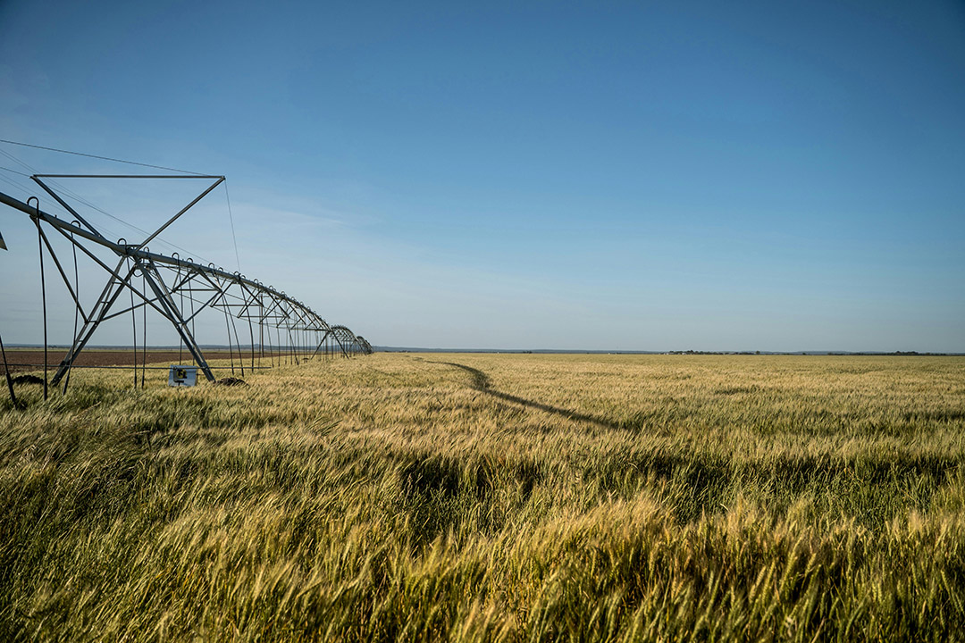 Das - Consultoria Agroalimentaria y Medioambiental - Regadio