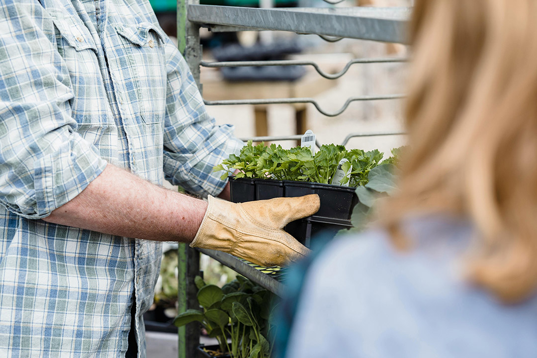 Das - Consultoria Agroalimentaria y Medioambiental - Plantas